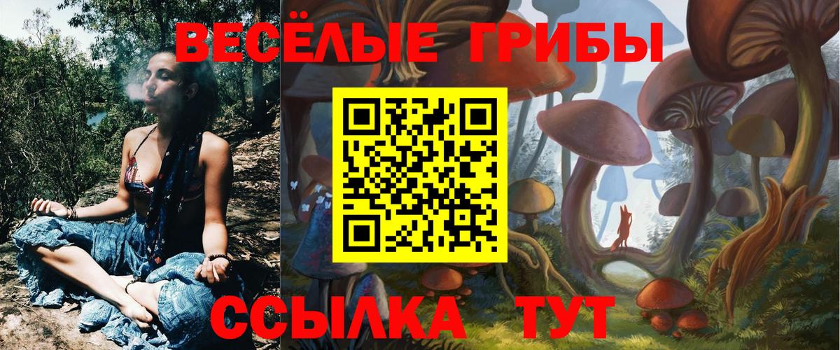 Ялуторовск  Галлюциногенные грибы Psilocybe  Псилоцибиновые грибы Cubensis  Вход с VPN 