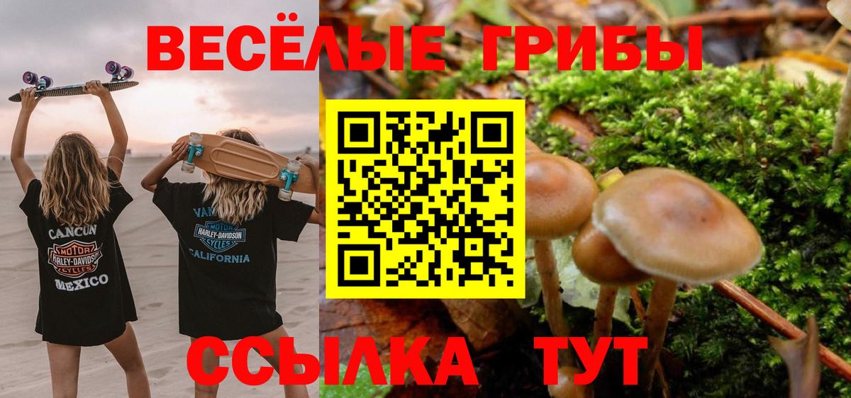 ГАШИШ Ялуторовск